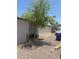 Mobile home exterior with a gray facade and a small tree in front provides minimal privacy at 2060 N Center St # 282, Mesa, AZ 85201