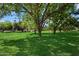 Lush green backyard with mature trees and plenty of open space at 23265 S Via Del Arroyo --, Queen Creek, AZ 85142