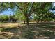 Spacious backyard with mature trees providing shade and a sense of privacy at 23265 S Via Del Arroyo --, Queen Creek, AZ 85142