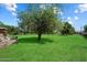 Expansive backyard with lush green grass and mature shade trees at 23265 S Via Del Arroyo --, Queen Creek, AZ 85142