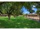 Picturesque yard with mature trees providing ample shade and a tranquil atmosphere at 23265 S Via Del Arroyo --, Queen Creek, AZ 85142