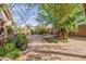 Lush backyard featuring gravel, trees, shrubs, a waterfall, and a desert landscape at 2567 E San Isido Trl, Casa Grande, AZ 85194