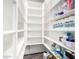 Walk-in pantry with built-in shelving offers lots of storage at 27562 N 99Th Dr, Peoria, AZ 85383