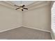 Serene bedroom with plush carpeting, a ceiling fan, tray ceilings, and bright natural light at 8031 W Morten Ave, Glendale, AZ 85303