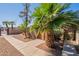 Charming home featuring a well-manicured front yard with mature palm trees and a cozy walkway leading to the entrance at 909 S Acapulco Ln # A, Tempe, AZ 85281