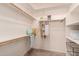Walk-in closet features shelving and hanging rods at 11312 E Enrose St, Mesa, AZ 85207