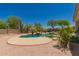 Backyard pool with lush desert landscaping, rocks and cacti at 11312 E Enrose St, Mesa, AZ 85207