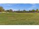 A grassy field in a neighborhood park with a playground and soccer goals at 1633 E Lakeside Dr # 127, Gilbert, AZ 85234