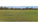 A beautiful grassy field at a neighborhood park near local houses at 1633 E Lakeside Dr # 127, Gilbert, AZ 85234