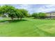 Lush green community park with mature trees providing shade and scenic walking path at 19576 N Portarosa Ct, Maricopa, AZ 85138