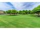 Expansive community green space with mature trees and landscaping, perfect for outdoor activities at 19576 N Portarosa Ct, Maricopa, AZ 85138