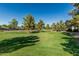 Expansive park with lush green grass and mature trees, ideal for recreation and relaxation at 19576 N Portarosa Ct, Maricopa, AZ 85138