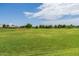 Vast community soccer field with lush green grass and well-maintained goals under a clear blue sky at 19576 N Portarosa Ct, Maricopa, AZ 85138