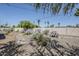 Backyard xeriscape featuring gravel landscaping, desert plants, and mature cactus specimens at 2178 E Golf Ave, Tempe, AZ 85282
