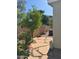 This side yard boasts stone pavers and desert landscaping, complemented by a mature tree and privacy wall at 2233 E Behrend Dr # 29, Phoenix, AZ 85024