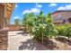 Spacious backyard featuring desert landscaping, a paved patio, and mature trees for shade at 242 N Crosscreek Dr, Chandler, AZ 85225