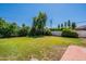 Expansive backyard featuring a lush lawn, mature trees, and privacy fencing at 317 E Orange Dr, Phoenix, AZ 85012