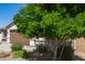 Exterior view of home with mature landscaping, brown garage door, and brick driveway at 3415 S 75Th Dr, Phoenix, AZ 85043