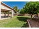 Backyard view with grass, fruit tree, patio, and privacy wall at 4507 E Lantern Pl, Gilbert, AZ 85297