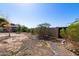 Serene backyard with stone-lined pathways, mature trees, and landscaping creating a peaceful outdoor space at 5841 W Kesler St, Chandler, AZ 85226