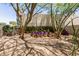 Landscaped backyard features rock groundcover, trees and cacti adding natural beauty to the outdoor space at 9389 N 87Th Way, Scottsdale, AZ 85258