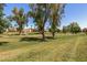 Expansive greenspace showcases mature trees and landscaped surroundings, perfect for relaxing at 9389 N 87Th Way, Scottsdale, AZ 85258