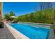 Sparkling pool surrounded by lush landscaping, offering a tranquil escape in the backyard at 963 S Colonial Dr, Gilbert, AZ 85296