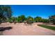 Spacious backyard with lush landscaping, mature trees, and serene desert scenery at 2101 S 167Th Dr, Goodyear, AZ 85338