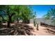 Shady backyard featuring mature trees, desert landscaping, and a charming woodpile at 2101 S 167Th Dr, Goodyear, AZ 85338