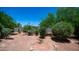 An expansive backyard showcases mature trees, natural landscaping, and a serene desert oasis at 2101 S 167Th Dr, Goodyear, AZ 85338
