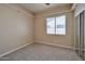 Bedroom featuring a ceiling fan, closet, neutral carpet, and a window for natural light at 3114 E Capricorn Way, Chandler, AZ 85249