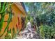 Beautiful side yard with decorative cactus, colorful plants, and a scenic walkway at 3351 N 6Th Ave, Phoenix, AZ 85013