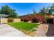 Lush backyard featuring artificial turf and mature landscaping at 3829 W Camino Del Rio --, Glendale, AZ 85310
