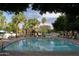 Community pool with clear blue water, surrounded by lounge chairs and palm trees at 5720 S 21St Ter, Phoenix, AZ 85040