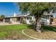 Well-maintained single-story home with solar panels, a lush lawn, and mature shade tree at 591 N Cheri Lynn Dr, Chandler, AZ 85225