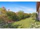 Lush backyard with artificial turf, a blooming garden, and mature shrubs for privacy at 6948 E Quill St, Mesa, AZ 85207