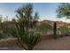 Picture of a beautifully landscaped backyard, perfect for relaxing and enjoying the desert environment at 9548 E Kiva Ln, Gold Canyon, AZ 85118