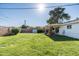 Spacious backyard with healthy grass, a covered patio area, and a mix of trees providing shade and privacy at 1027 E El Camino Dr, Phoenix, AZ 85020