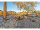 The entrance to McDowell Mountain Ranch features desert landscaping and mountain views at 10329 E Star Of The Desert Dr, Scottsdale, AZ 85255