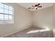 Bright bedroom with neutral carpet, ceiling fan, and ample natural light from the large window at 15105 W Glenrosa Ave, Goodyear, AZ 85395