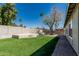 Large backyard with green grass, a concrete patio, and a charming shade tree at 18233 N 55Th Dr, Glendale, AZ 85308