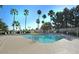 Refreshing community pool with palm trees, lounge chairs, and lush landscaping for relaxation at 23756 S Vacation Way, Sun Lakes, AZ 85248