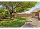Backyard with grassy area, large shade tree, gravel landscaping, and block fence at 28814 N 45Th St, Cave Creek, AZ 85331