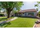 Spacious backyard featuring lush lawn, mature trees, and a charming stone walkway leading to the patio at 3109 N Meadow Dr, Avondale, AZ 85392