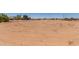 Wide shot of a large, undeveloped rural property, showcasing dirt and sparse vegetation with fencing at 49478 W Val Vista Rd, Maricopa, AZ 85139