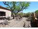Backyard showcasing desert landscaping, decorative stones, and native plants at 6966 E Bramble Berry Ln, Scottsdale, AZ 85266