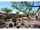 Backyard showcasing desert landscaping, decorative stones, and native plants at 6966 E Bramble Berry Ln, Scottsdale, AZ 85266