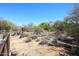 View of the desert landscape showcasing the natural beauty of the backyard at 6966 E Bramble Berry Ln, Scottsdale, AZ 85266