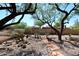 Backyard showcasing desert landscaping, decorative stones, and native plants at 6966 E Bramble Berry Ln, Scottsdale, AZ 85266