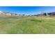 Expansive green space features newly planted trees with nearby residential homes at 7694 W Desert Spoon Dr, Peoria, AZ 85383